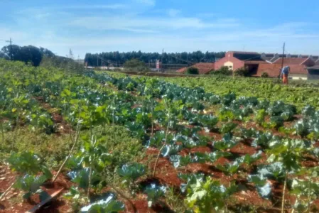 Horta da PIC ganha conceito de reaproveitamento e sustentabilidade