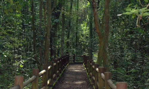 ICMBio autoriza reabertura do Parque Nacional de Brasília