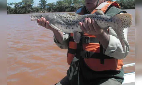 Pesca está liberada nas represas e lagos do Estado