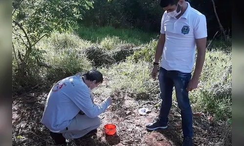Em menos de um ano Paraná soma 212.074 casos de dengue