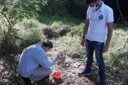 Em menos de um ano Paraná soma 212.074 casos de dengue