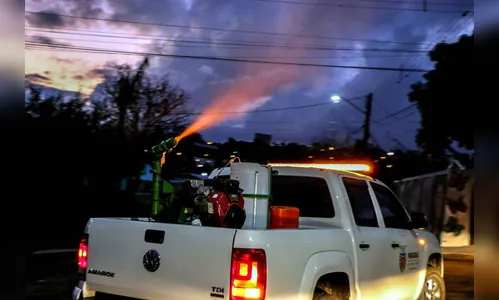 Em duas semanas, Apucarana registra 132 novos casos de dengue