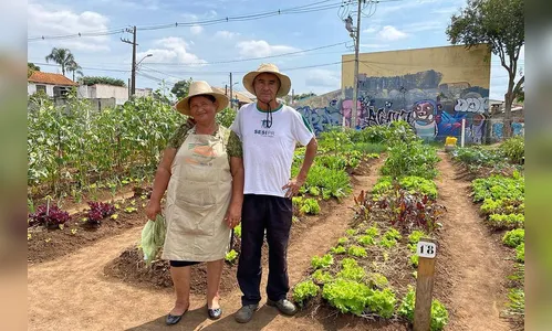 Copel apoia agricultura familiar durante a pandemia