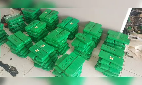 Polícia Civil de Maringá apreende mais de 600 quilos de maconha