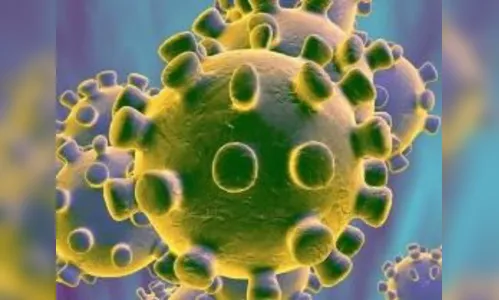 Tribunal de Contas identifica vários casos suspeitos de uso irregular de verbas contra a Covid-19