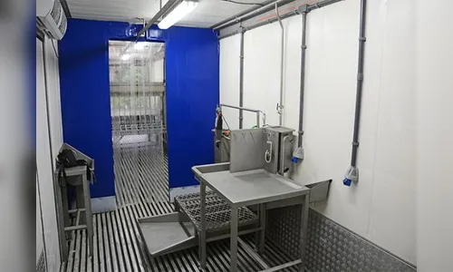 Ladrões roubam carne de abatedouro em Cambira