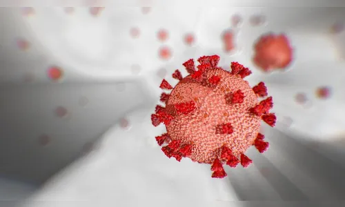 Mauá da Serra e São João do Ivaí registram novos casos de coronavírus