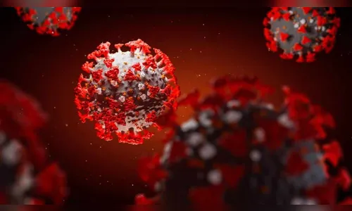 Arapongas investiga 193 casos; 308 pessoas estão em isolamento