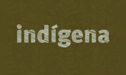 MPF recomenda afastamento remunerado de trabalhadores indígenas
