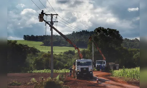Paraná Trifásico abre espaço para agropecuária crescer mais
