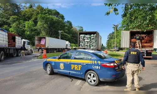 PRF apreende 6 caminhões com madeira e carvão ilegal