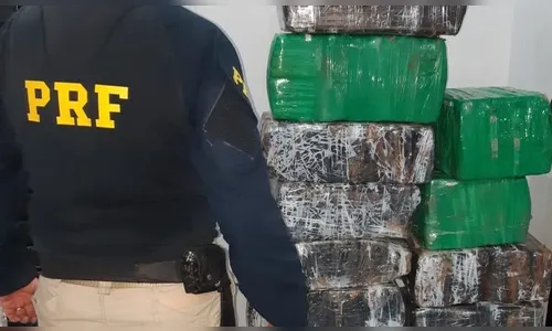 PRF apreendeu 265 quilos de maconha em Irati