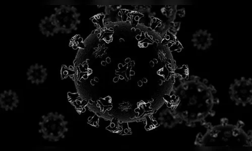 Mais um apucaranense que estava internado em Curitiba morre por Covid-19