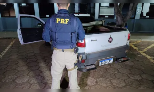 PRF apreende quase meia tonelada de maconha em Cascavel