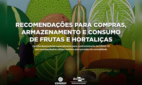 Cartilha orienta para compra e conservação de hortigranjeiros