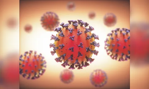 Lacen confirma mais dois casos de coronavírus em Jardim Alegre