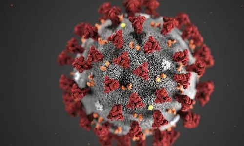 Arapongas soma 218 casos confirmados de Covid-19