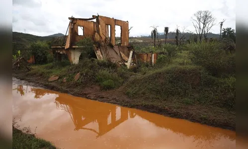 Fundação aponta avanço na recuperação de áreas afetadas por barragem