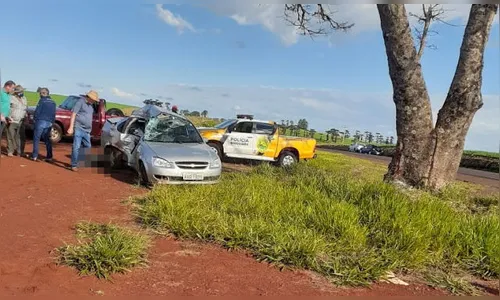 Agricultor falece após bater em árvore em Ivaiporã