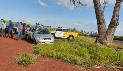Agricultor falece após bater em árvore em Ivaiporã