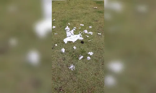 Vigilância recebe denúncia de descarte irregular de seringas