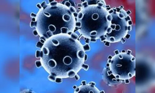 TCE-PR apura medidas tomadas por municípios para combater a pandemia