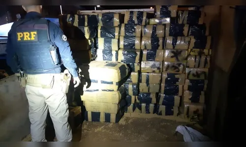 Polícia apreendeu mais de 3 toneladas de maconha em Francisco Alves