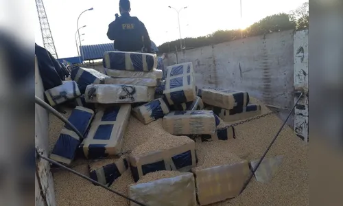 PRF apreende 3,3 toneladas de maconha no município de Francisco Alves