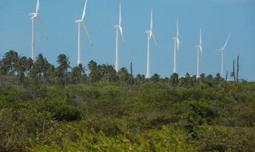 BNDES aprova financiamento de R$ 208 milhões para parque eólico