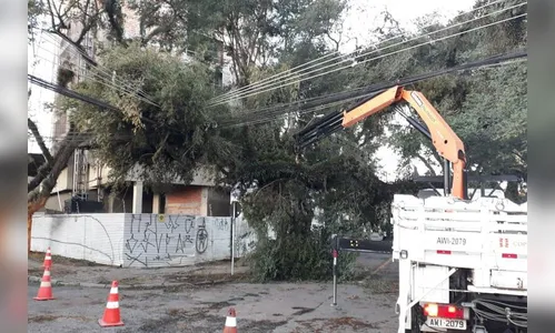 Copel tem 400 equipes em campo para restabelecer fornecimento