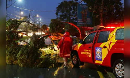 Cerca de 1,2 milhão de paranaenses ficaram sem luz