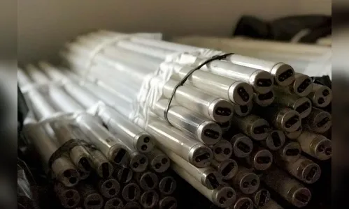 Paraná recolhe 1,5 milhão de lâmpadas fluorescentes