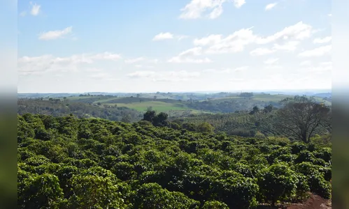 Chegada do frio preocupa produtores rurais no Vale do Ivaí