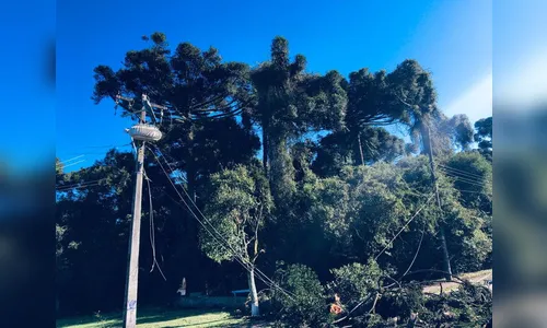 Copel trabalha durante a noite para restabelecer energia no Paraná