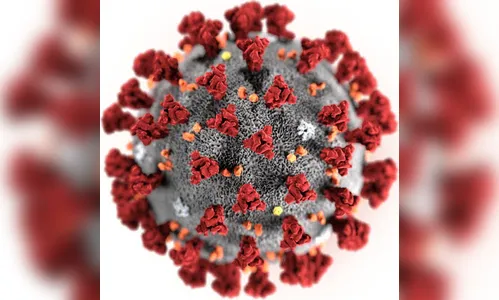 Arapongas confirma 23 novos casos de coronavírus