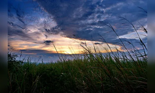 Quinta-feira amanhece gelada em Apucarana e região