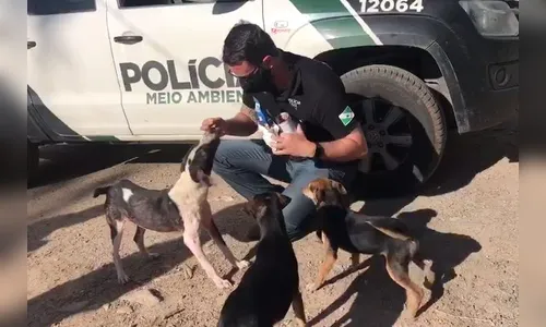 PCPR resgata cerca de 400 animais no primeiro semestre de 2020