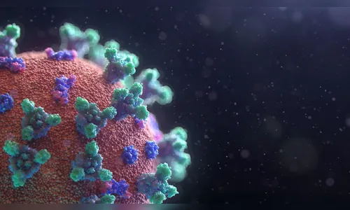 Aplicativo ajuda a mapear áreas com risco de infecção por covid-19