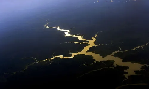 Governo destinará R$ 500 milhões para proteger a Amazônia