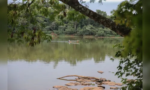 Pesca está liberada nas bacias do estado do Paraná