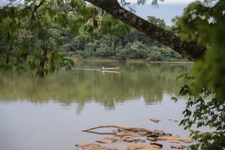 Pesca está liberada nas bacias do estado do Paraná