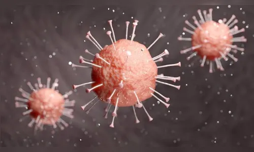 Paraná chega a 781 óbitos por coronavírus e 31.120 casos confirmados