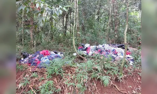 Guarda Municipal flagra descarte irregular em áreas ambientais