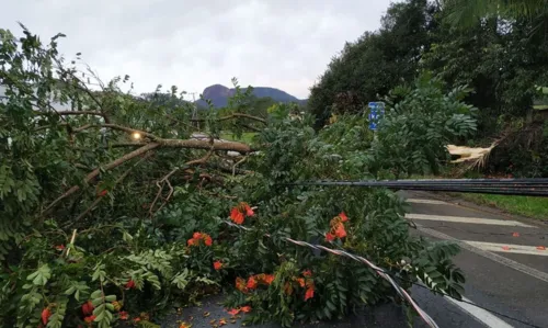 Região Sul volta a entrar em alerta devido a risco de novos temporais