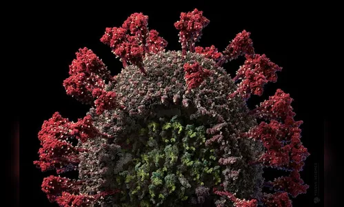 Londrina prepara testagem em massa nos asilos