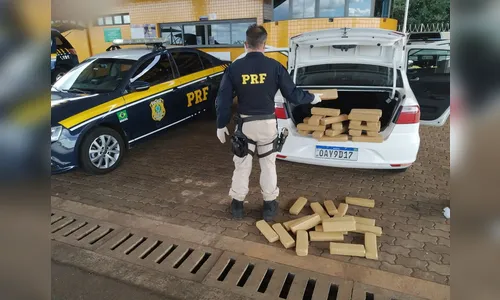 PRF bate recorde e apreende 66 toneladas de drogas no Paraná