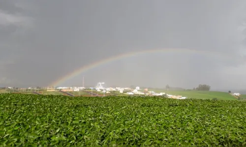 Plano Safra 20/21 para agricultura familiar frustra expectativas