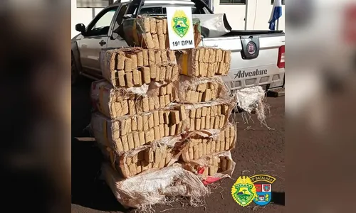 PM apreende 414 quilos de maconha no Oeste do estado