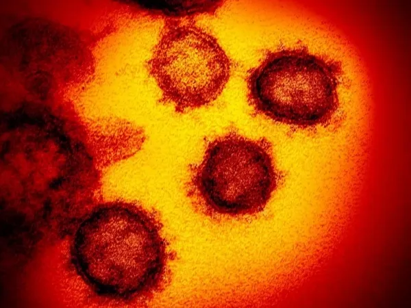 OMS confirma caso de influenza A H1N2 com potencial pandêmico no Paraná