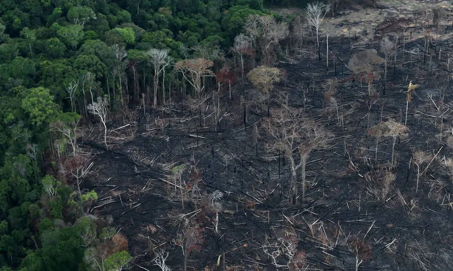 Decreto proíbe queima controlada na Amazônia e no Pantanal por 4 meses
